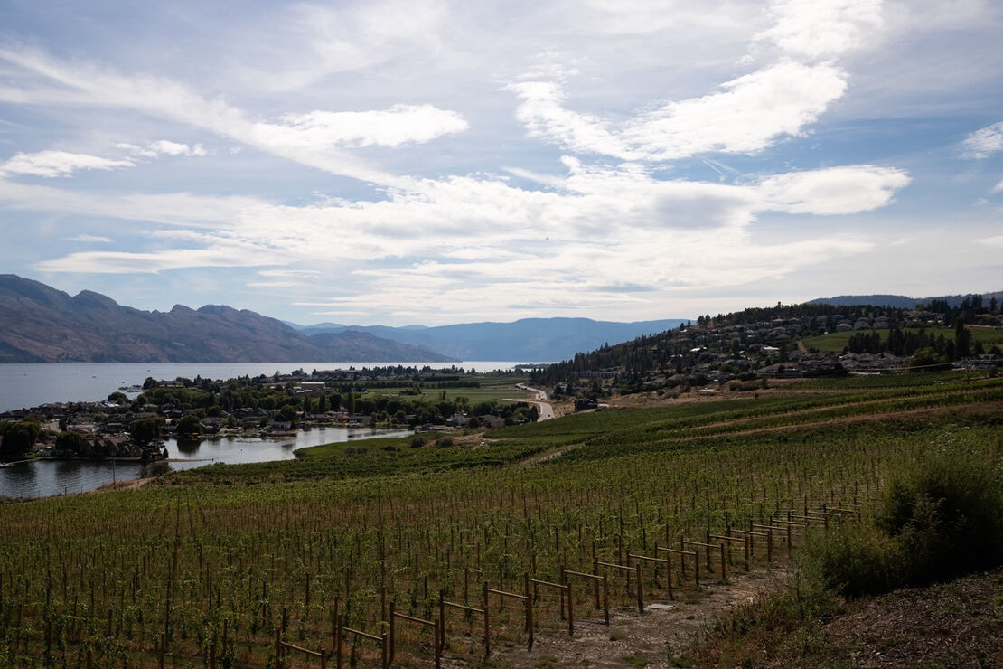 The serene lake + a great glass of red + this zen view of Quails’ Gate Winery = summer bliss